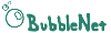 BubbleNet